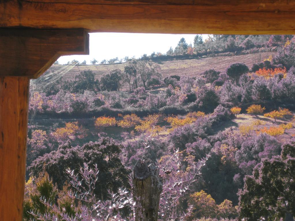 Apartamentos Rurales Candela Cañamero Quarto foto